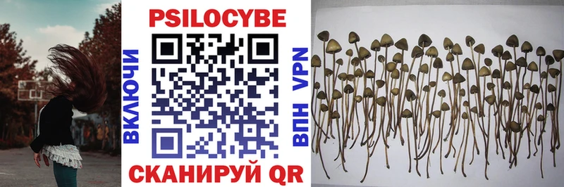 ОМГ ОМГ сайт  купить наркотики сайты  Ядрин  Галлюциногенные грибы GOLDEN TEACHER 